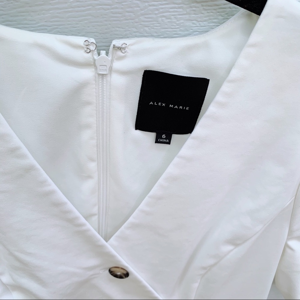 Alex Marie Morgan Button Down Dress - Picture 5 of 5